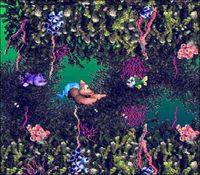 Donkey Kong Country 3 sur Nintendo Super Nes